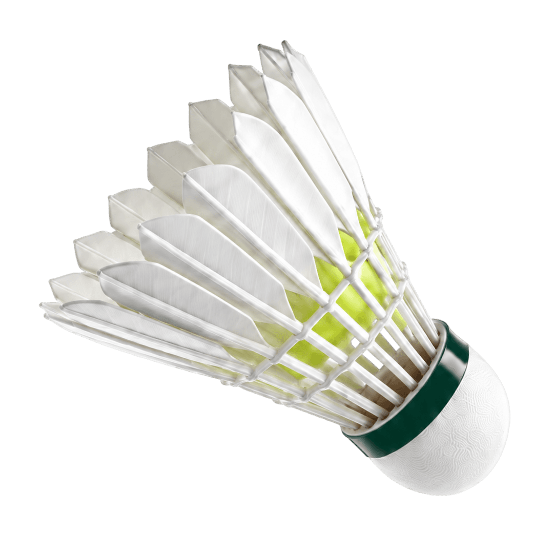 Shuttlecock